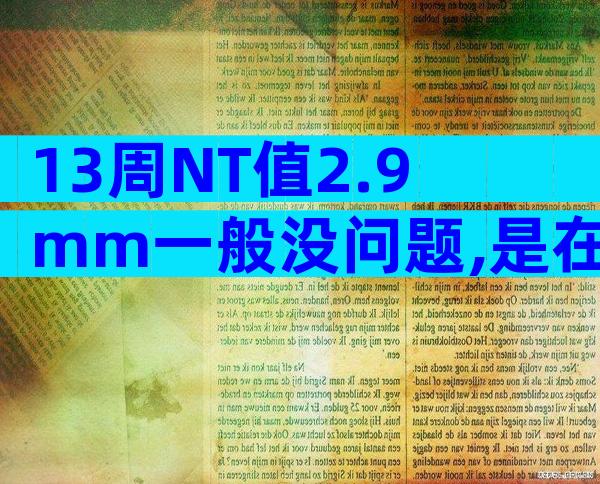 13周NT值2.9mm一般没问题,是在正常范围内!