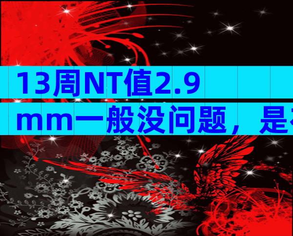 13周NT值2.9mm一般没问题，是在正常范围内！