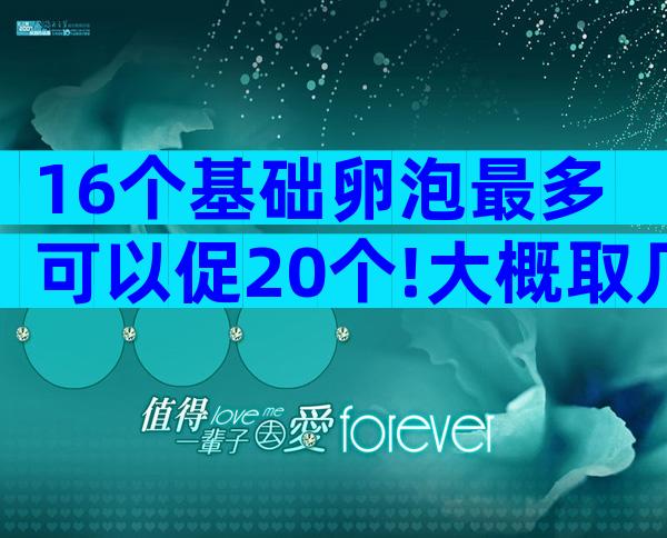 16个基础卵泡最多可以促20个!大概取几个一文说清