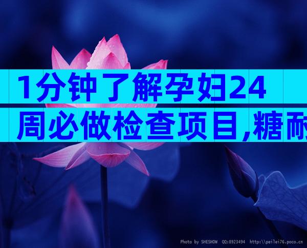 1分钟了解孕妇24周必做检查项目,糖耐检查时间也不算早