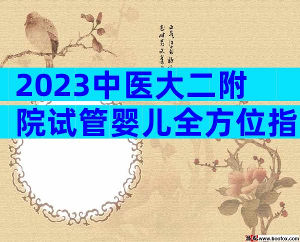 2023中医大二附院试管婴儿全方位指南，费用明细及成功率参考