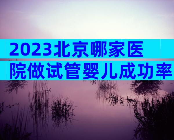2023北京哪家医院做试管婴儿成功率高？北京试管婴儿医院推荐！