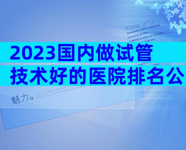 2023国内做试管技术好的医院排名公布，附试管医院详情介绍！