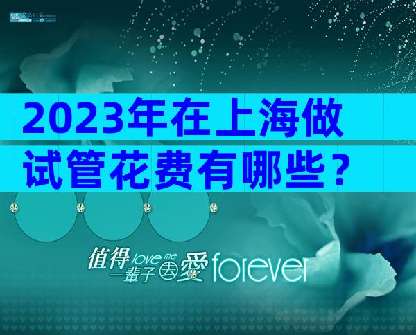 2023年在上海做试管花费有哪些？