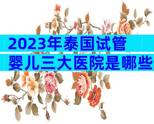 2023年泰国试管婴儿三大医院是哪些