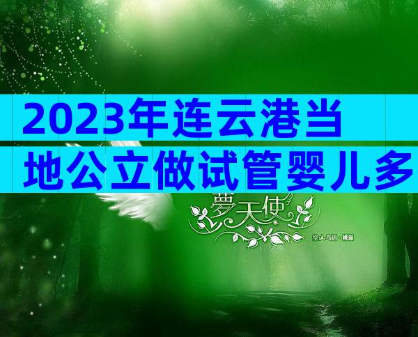 2023年连云港当地公立做试管婴儿多少钱！？