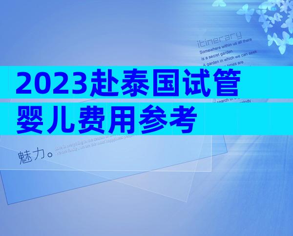2023赴泰国试管婴儿费用参考