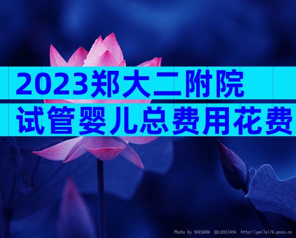 2023郑大二附院试管婴儿总费用花费明细实例参考