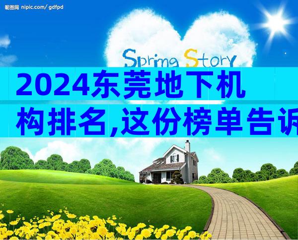 2024东莞地下机构排名,这份榜单告诉你哪家好