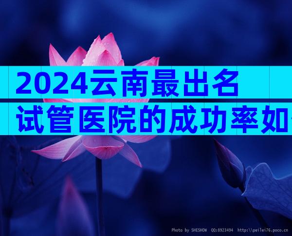 2024云南最出名试管医院的成功率如何？