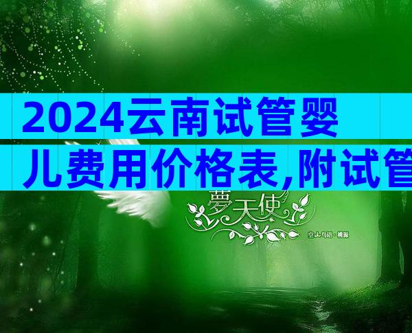 2024云南试管婴儿费用价格表,附试管费用明细!