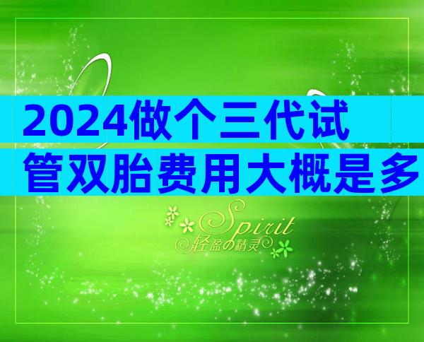2024做个三代试管双胎费用大概是多少钱