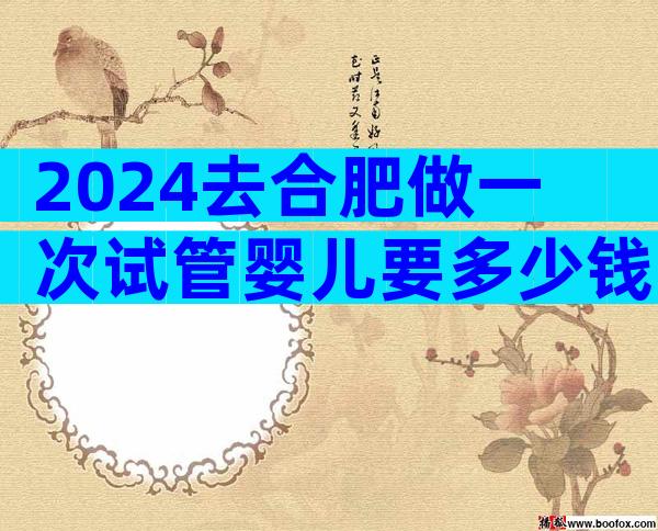 2024去合肥做一次试管婴儿要多少钱？