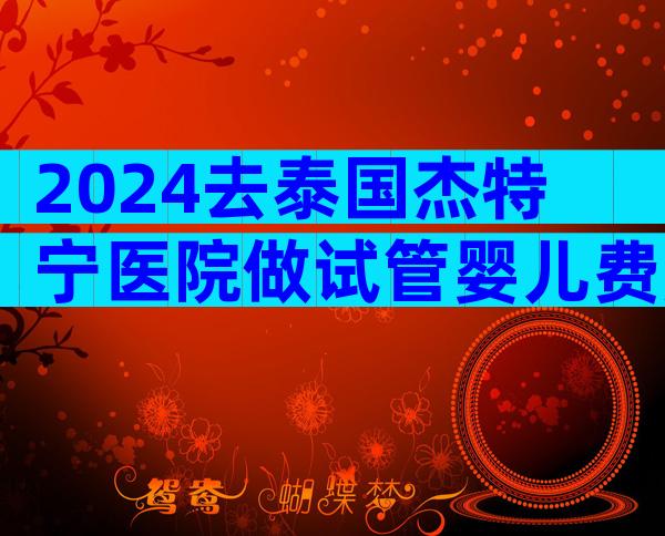 2024去泰国杰特宁医院做试管婴儿费用贵不贵？