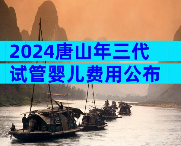 2024唐山年三代试管婴儿费用公布