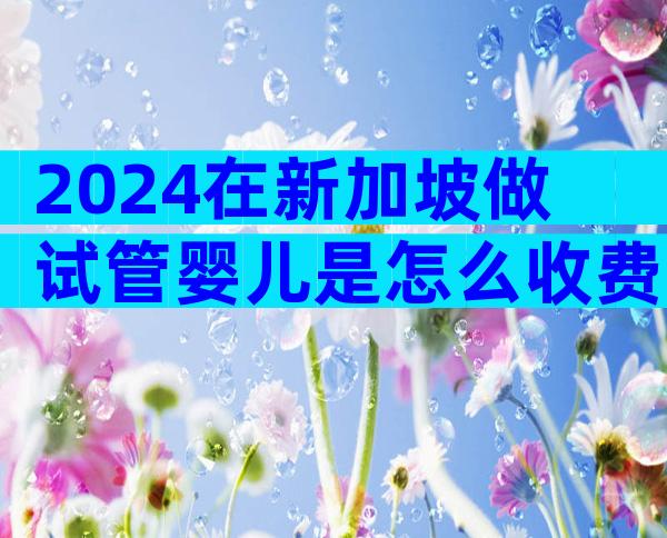 2024在新加坡做试管婴儿是怎么收费的？
