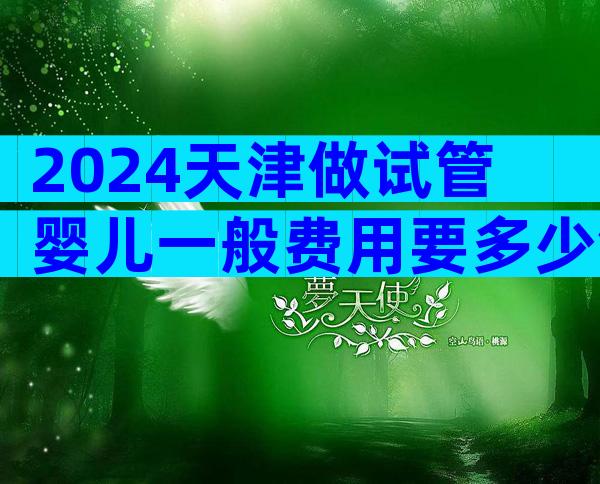 2024天津做试管婴儿一般费用要多少钱？