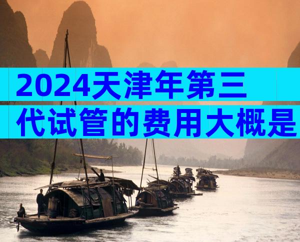 2024天津年第三代试管的费用大概是多少？