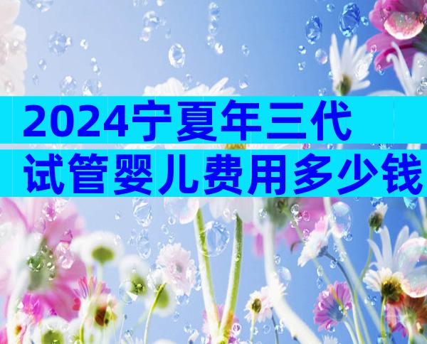 2024宁夏年三代试管婴儿费用多少钱？附试管费用表！