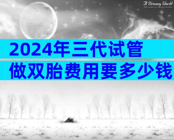 2024年三代试管做双胎费用要多少钱