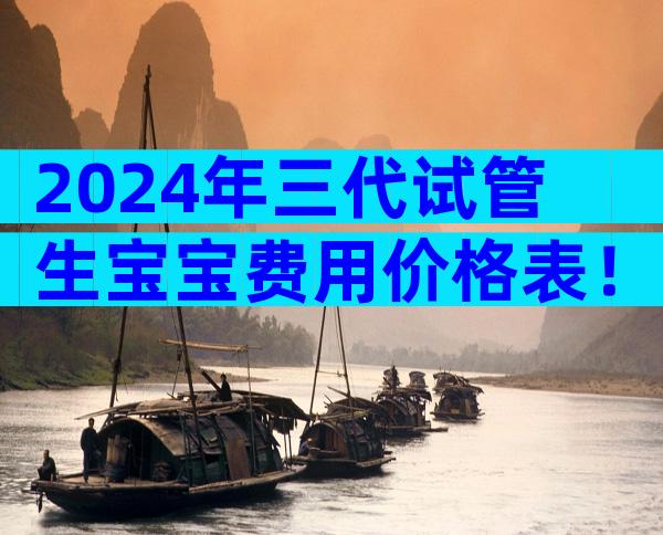 2024年三代试管生宝宝费用价格表！