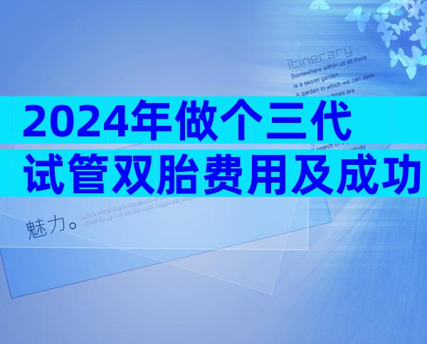 2024年做个三代试管双胎费用及成功率！