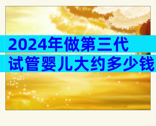 2024年做第三代试管婴儿大约多少钱？