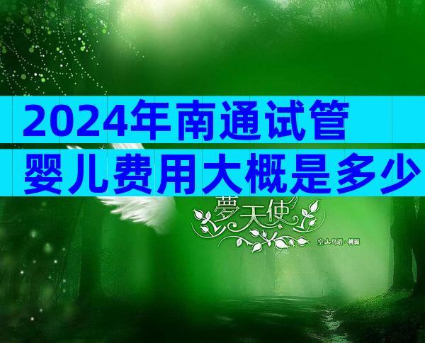 2024年南通试管婴儿费用大概是多少？