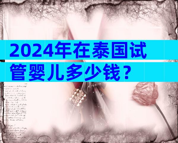 2024年在泰国试管婴儿多少钱？