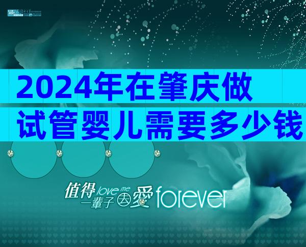 2024年在肇庆做试管婴儿需要多少钱？