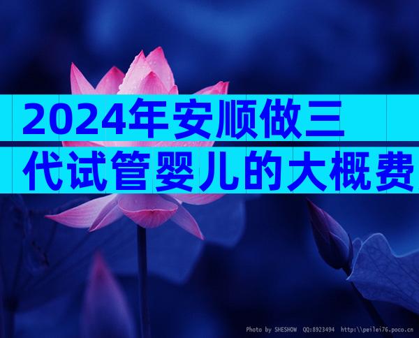 2024年安顺做三代试管婴儿的大概费用明细