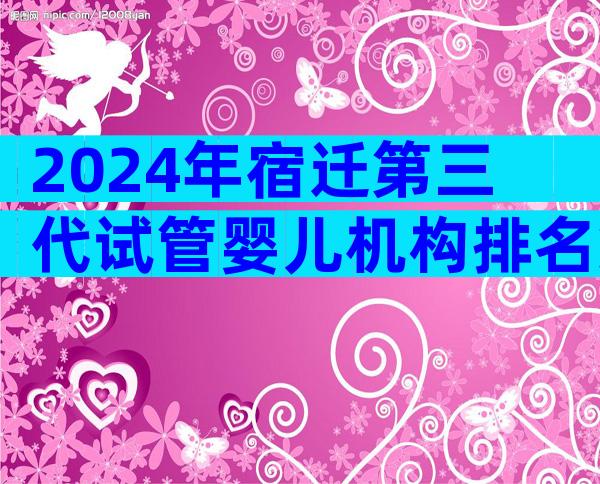 2024年宿迁第三代试管婴儿机构排名第一是哪家，流程是怎么样的