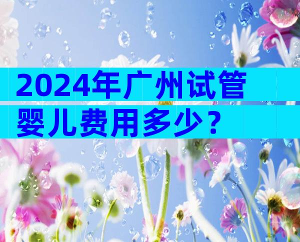 2024年广州试管婴儿费用多少？