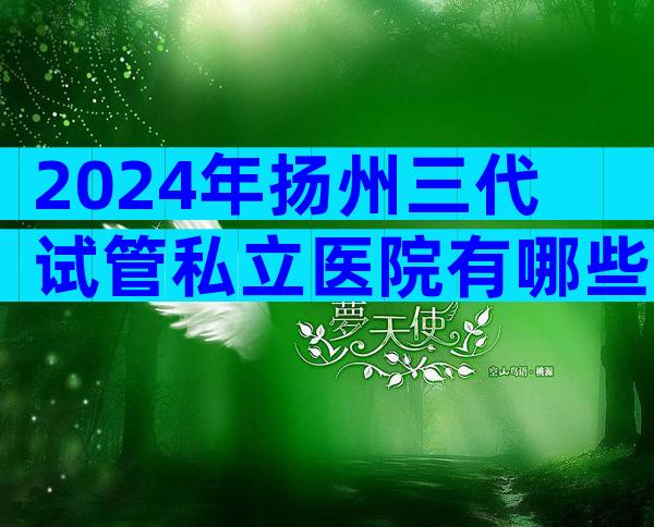 2024年扬州三代试管私立医院有哪些