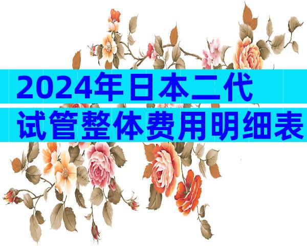 2024年日本二代试管整体费用明细表