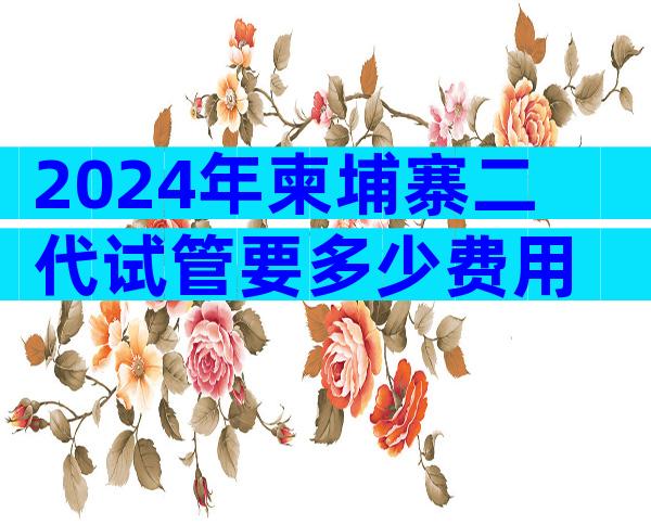 2024年柬埔寨二代试管要多少费用