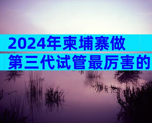 2024年柬埔寨做第三代试管最厉害的医院已公布,主要取决于情况