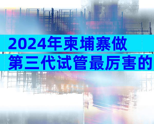 2024年柬埔寨做第三代试管最厉害的医院已公布，主要取决于情况