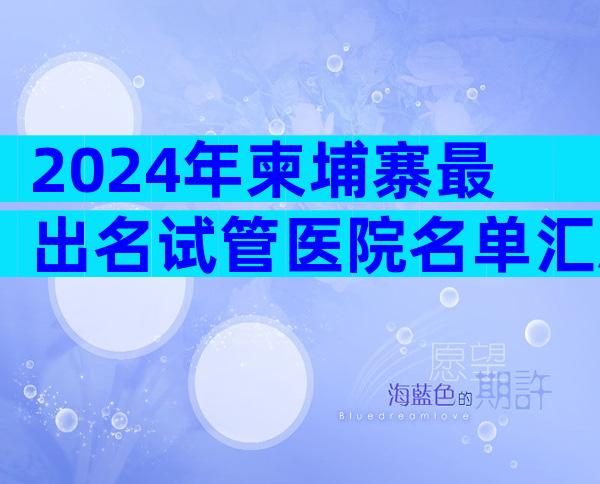 2024年柬埔寨最出名试管医院名单汇总，附试管婴儿排名榜
