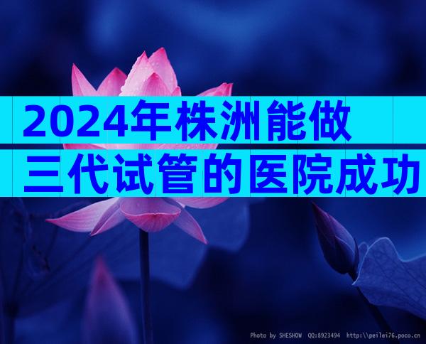 2024年株洲能做三代试管的医院成功率排名