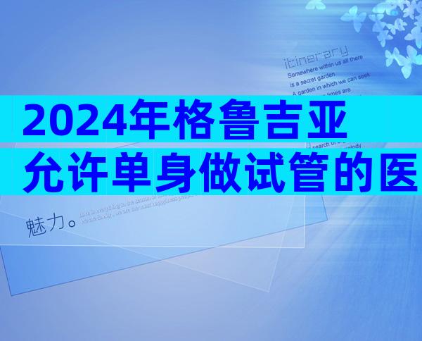 2024年格鲁吉亚允许单身做试管的医院做试管哪家好