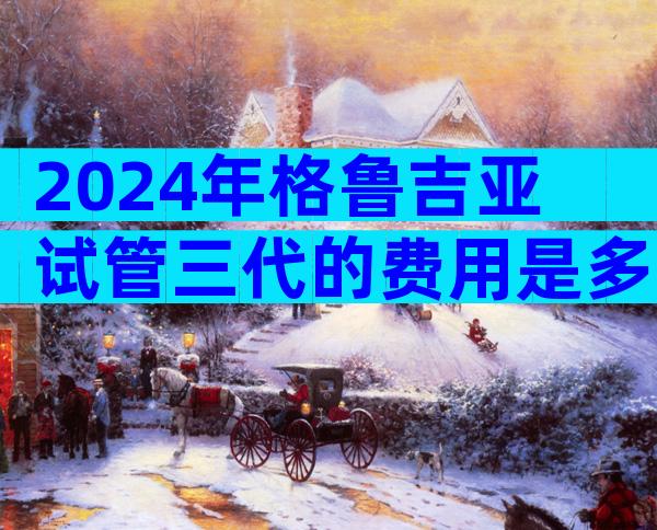 2024年格鲁吉亚试管三代的费用是多少
