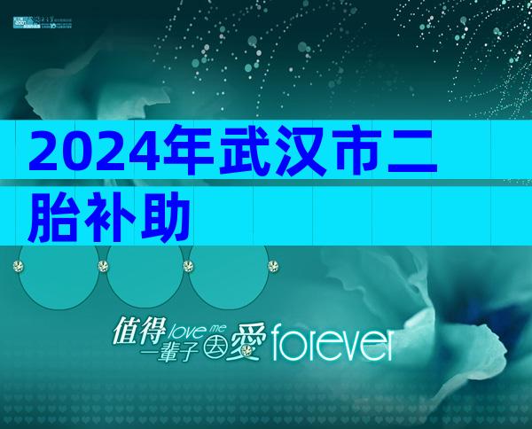 2024年武汉市二胎补助