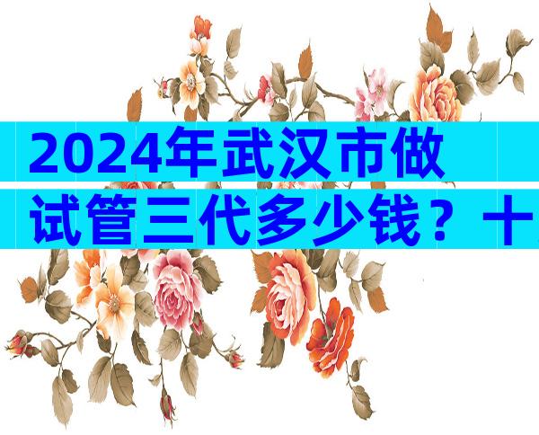 2024年武汉市做试管三代多少钱？十万够吗？