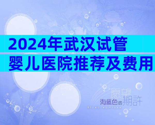 2024年武汉试管婴儿医院推荐及费用详解