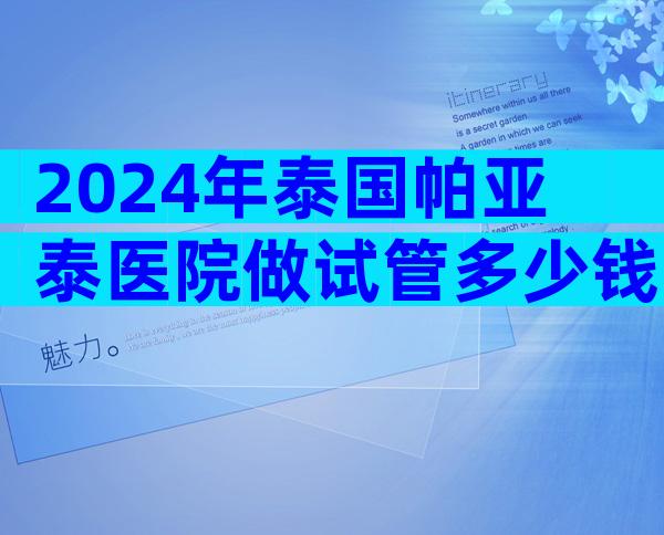 2024年泰国帕亚泰医院做试管多少钱？15万做够不够