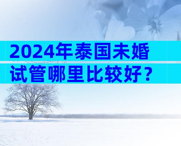 2024年泰国未婚试管哪里比较好？