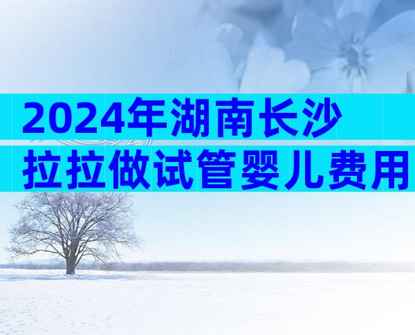 2024年湖南长沙拉拉做试管婴儿费用预估