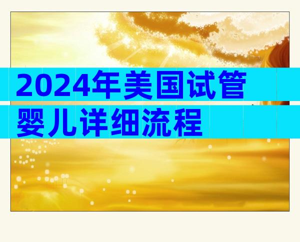 2024年美国试管婴儿详细流程