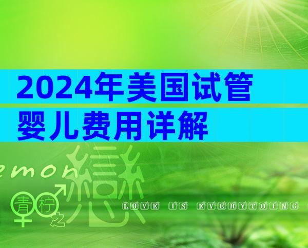 2024年美国试管婴儿费用详解